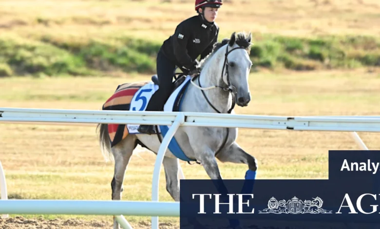 Fairytales and heavyweights: How to tip the Melbourne Cup trifecta