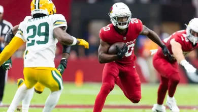 Fantasy football: 2 Cardinals you should have started in Week 9