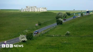 'Fantasy' to expect government to invest in Stonehenge tunnel