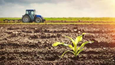 Farmer advocacy group launches 'Grow It Here' campaign