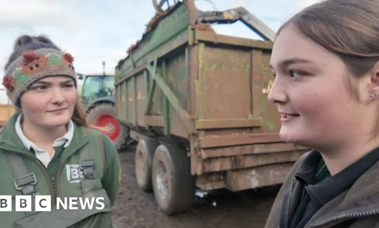 Farming family fears for the future in Hampshire