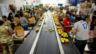 Federal government shutdown threatens SNAP food aid as several states scramble to help