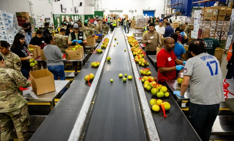 Federal government shutdown threatens SNAP food aid as several states scramble to help