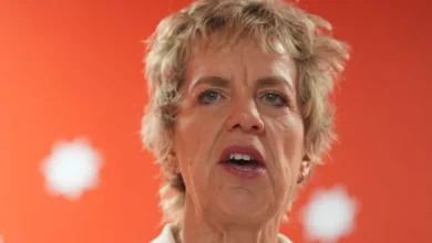 Fianna Fáil and Fine Gael are ‘relics of a bygone era’, says Labour leader Ivana Bacik in bid to ‘break the mould’