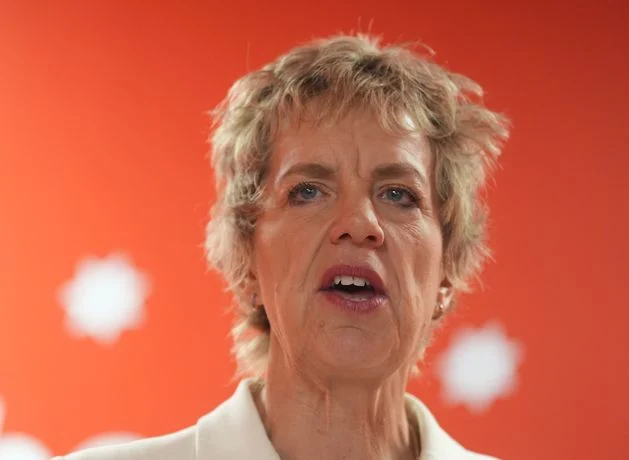 Fianna Fáil and Fine Gael are ‘relics of a bygone era’, says Labour leader Ivana Bacik in bid to ‘break the mould’