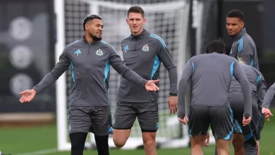 Fingers need to be pointed now at Newcastle United players who are living off reputation alone