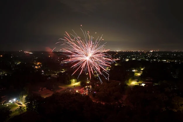 Fire and Emergency warns public after worst year for fireworks fires since 2019