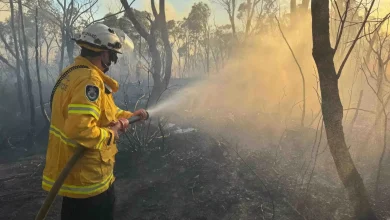 Fire at Manly Dam at Allambie Heights: updates