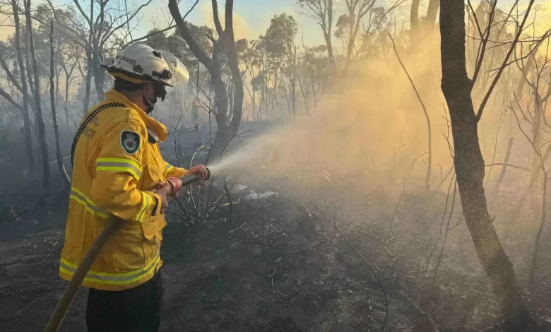 Fire at Manly Dam at Allambie Heights: updates