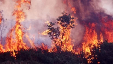 Fire warnings issued as Australia braces for sweltering summer, according to BOM long-range forecast