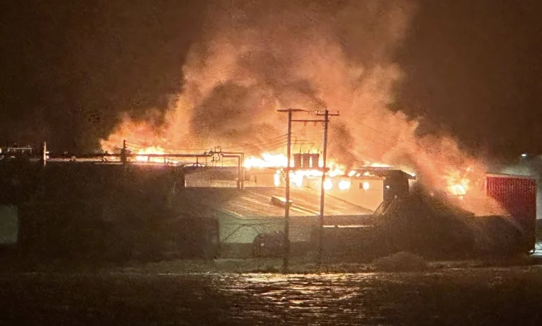 Fire wipes out big Canadian snow crab plant