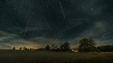 Fireballs to light up the sky — Visible from all 50 states just before Thanksgiving