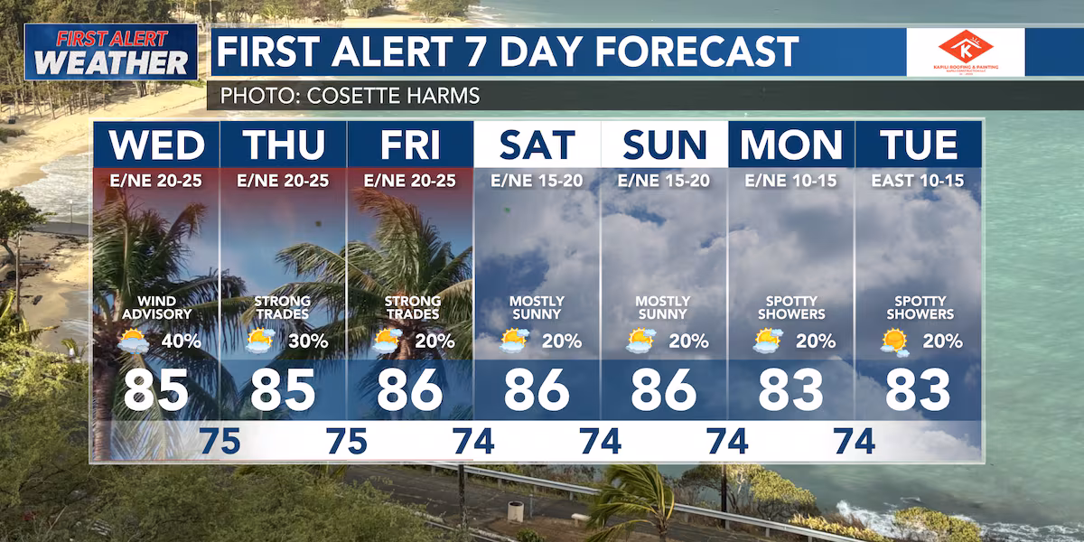First Alert Forecast: Wind advisory issued due to gusty trade winds