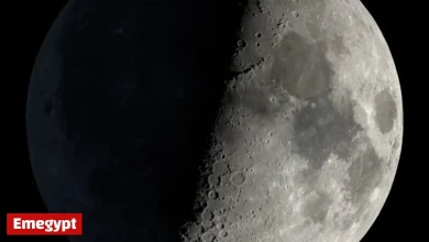 First Quarter Moon Illuminates the Sky on October 29, Wednesday