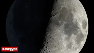 First Quarter Moon Lights Up Sky on Wednesday, October 29