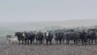 First Snow Of The Season Is A Doozy For The Midwest