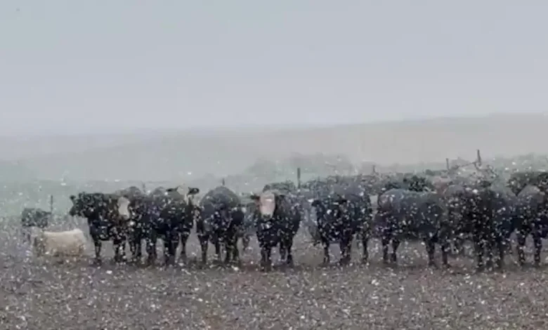 First Snow Of The Season Is A Doozy For The Midwest