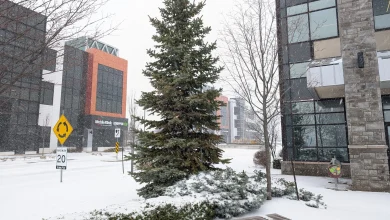 First snowfall of the season could arrive in Region this weekend