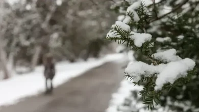 First snowfall of the season expected in the GTA this week: Environment Canada