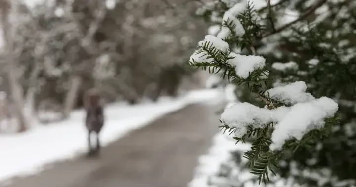 First snowfall of the season expected in the GTA this week: Environment Canada