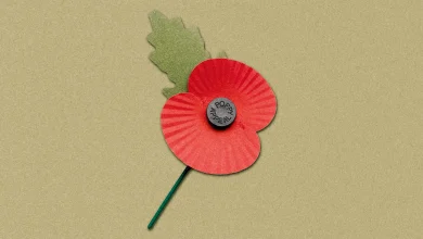 First the flag. Now the poppy