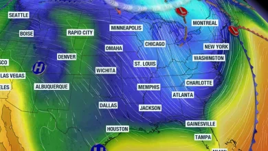 First widespread freeze on way for South Carolina with 50-degree temperature plunge