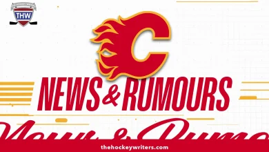 Flames News & Rumours: Andersson, Zary, Honzek & More