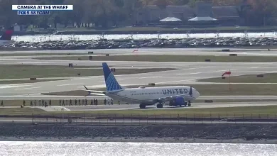 Flights temporarily halted at Reagan National Airport after security incident on arriving plane