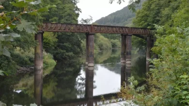 Flood risk in Gloucestershire during high tides as alert issued