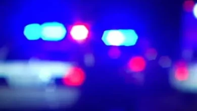 Florida Among Top 10 U.S. States Seeking Pedestrian Accident Attorneys In 2025