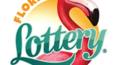 Florida Lotto numbers for Saturday, Nov. 8, $2.5 million as Mega Millions hits $900 million