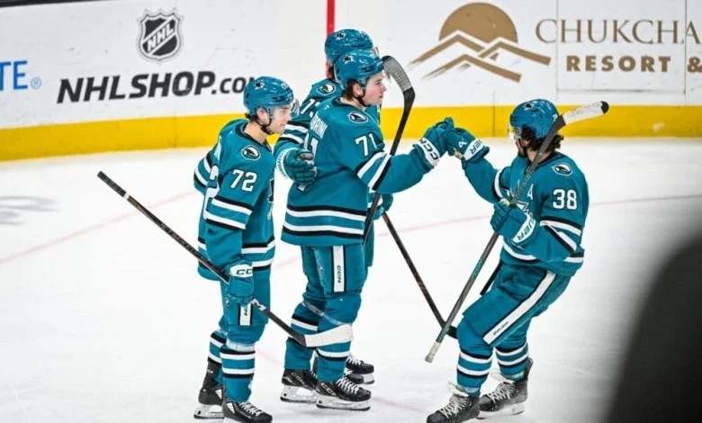 Florida Panthers Own San Jose Sharks. They Are Pushovers No More