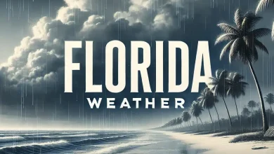 Florida Weather Alert Today: Breezy Skies, Warm Sunshine, and a Clear Halloween Weekend Ahead