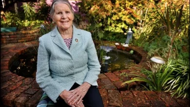 Focus Ireland founder Sister Stan dies aged 86