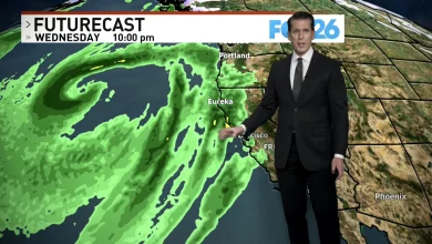 Fog this weekend, and rain next weekend