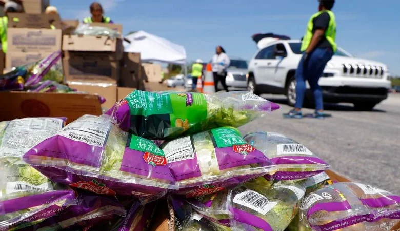 Food bank CEO: Disruption to SNAP causing bigger need than in years past