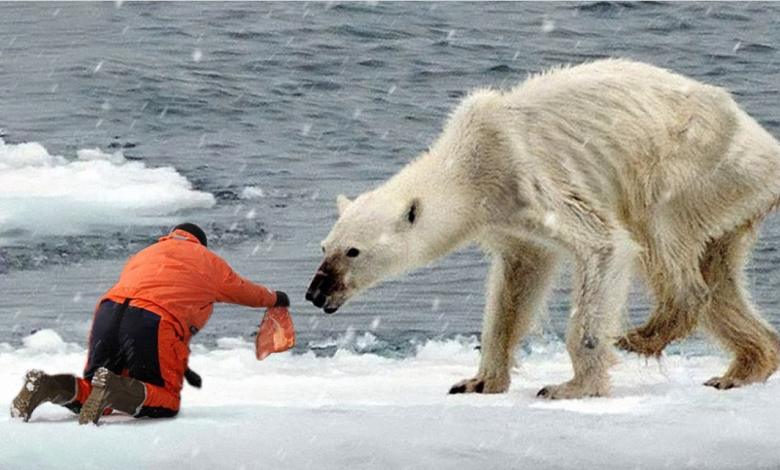 FoodwithBearHands Death: Online Creator Michael Duarte Dies in Texas Tragedy