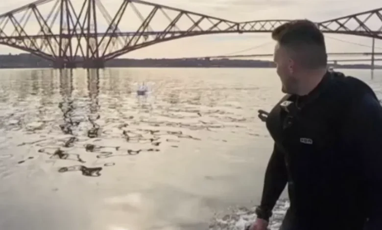 Footage captures dolphin playing with kayakers under Forth Bridge