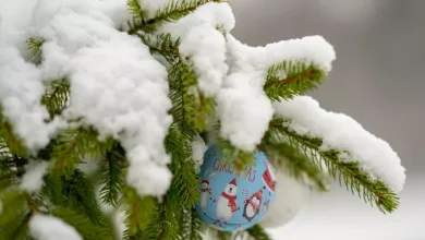 Forecasters give early verdict on a white Christmas