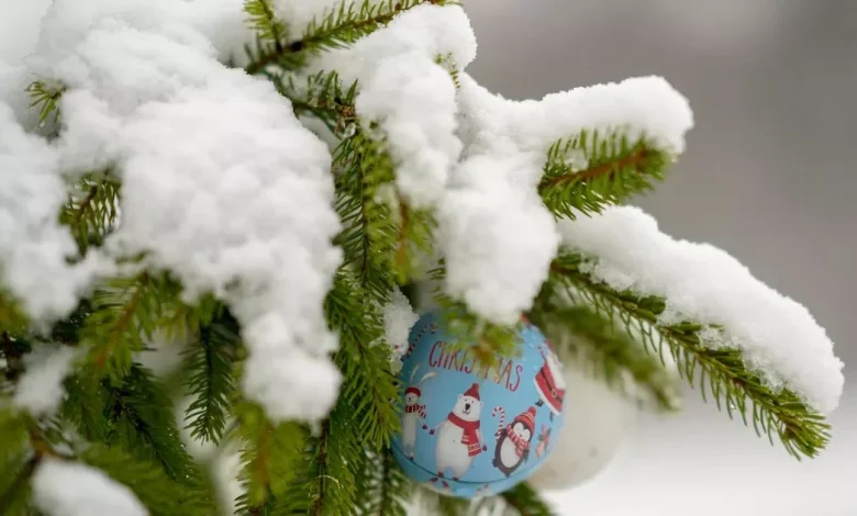 Forecasters give early verdict on a white Christmas