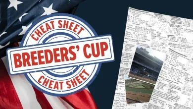 'Forget his run last time, he could be a lively outsider' - your cheat sheet for Friday's Breeders' Cup card at Del Mar