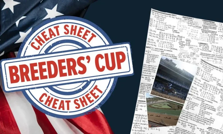 'Forget his run last time, he could be a lively outsider' - your cheat sheet for Friday's Breeders' Cup card at Del Mar