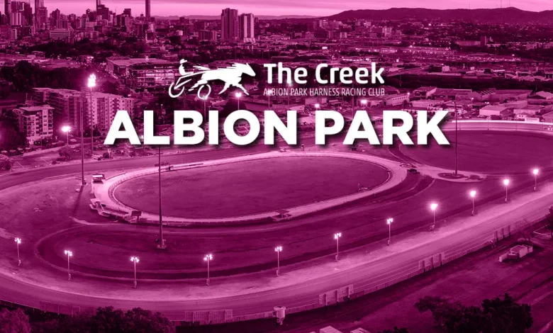 Form Analysis: Albion Park November 11