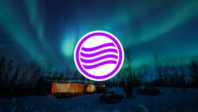 Forte éruption solaire : un spectacle céleste à ne pas manquer