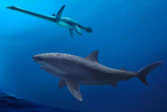 Fossils show giant sharks evolved far earlier than expected