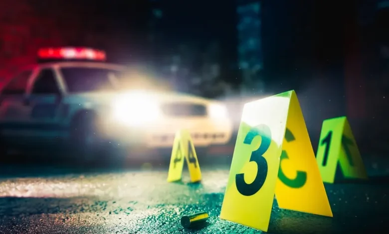 Four Men Wounded in Winnetka Shooting, Gunmen At Large