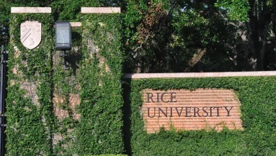 Four Universities Launch Major New Investments In Brain Research