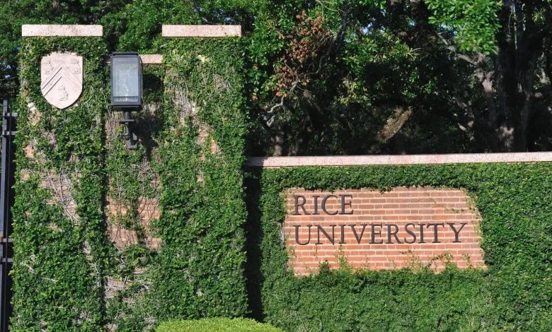 Four Universities Launch Major New Investments In Brain Research