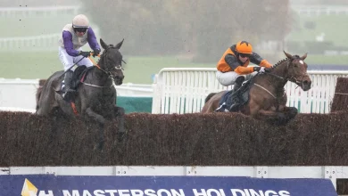 Four horses who will like conditions at Cheltenham