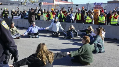 Fourteen suburban moms arrested in sit-in protest outside Broadview ICE facility